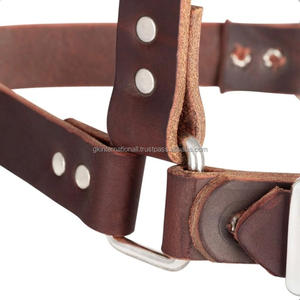 Harnais de cheval en cuir rembourré, réglable, élégant, luxueux, tendance, de qualité supérieure, pour la vente en gros, et produits équestres - Product Image 1