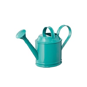 Arrosoir en métal tendance pour l'entretien des plantes de jardin, pot à eau durable avec long bec verseur, taille et couleur personnalisables - Product Image 1
