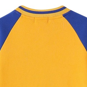 Sweat-shirt en chenille Sigma Gamma Rho pour femme, jaune et bleu, col ras du cou raglan, avec poche, pull décontracté pour sororité - Product Image 5