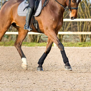 Wholesale Custom Design Tendon Horse Brushing Boots Breathable Lightweight Neoprene Leg Protection <b>Equestrian</b> Riding Equipment - Product Image 6