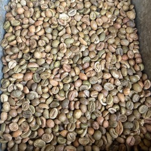 Vietnamese <b>Coffee</b> Factory Supplying Premium Raw <b>Coffee</b> <b>Beans</b> in Bulk with Custom Branding - Product Image 2
