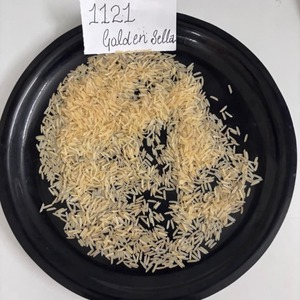 Arroz Basmati Golden Sella 1121, Calidad Premium, Grano Largo, Aromático, Suave, Fresco, Cosecha 2025, 1% de Grano Partido, Para Cocinar Biryani, Suministro a Granel - Product Image 6