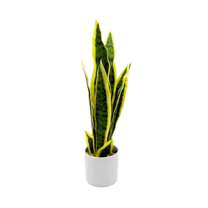 2023 New Polyester Different Design Nordic Style Artificial Plants Snake Plant In White Plastic Pot Giveaways Home Decoration