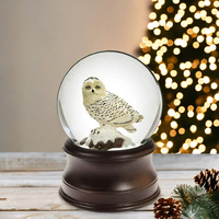 Boîte à musique personnalisée de San Francisco, globe à neige Hibou des neiges en résine, objet de collection charmant, idéal comme cadeau de Noël, thème artistique