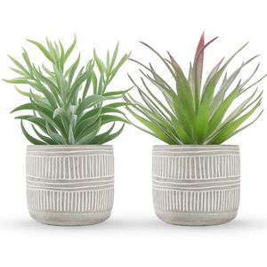 Set di 2 Piante Succulente Artificiali in Vaso Stile Boho per Casa, Stanza, Bagno, Camera da Letto o Ufficio - Product Image 1