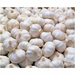 Proveedor mayorista de ajo pelado fresco de la mejor calidad a la venta a precio económico - Product Image 6