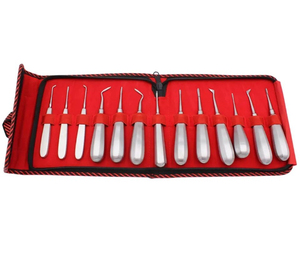 Kit Profesional de Elevadores Dentales para Extracción de Raíces, 13 Piezas, Curvos, de Acero Inoxidable, Juego de Instrumentos para Extracción Dental - Product Image 1