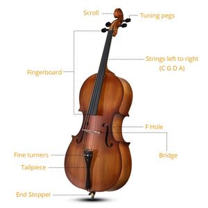 Matte Natural Color Full Side 4/4 Spruce Cello Panel with Bag Bow Rosin Bridge Strings - Product Image 5