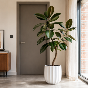 Maceta cilíndrica blanca de fibra de vidrio contemporánea, disponible para OEM, para jardín interior y exterior, maceta decorativa moderna, juego de 4. - Product Image 6