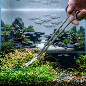 Tijeras para Acuario, Largas y Curvas, de 10 Pulgadas, de Acero Inoxidable, Herramienta para Recortar Plantas Acuáticas - Product Image 1