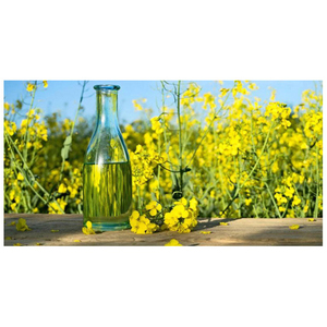 Huile de colza pure raffinée certifiée biologique 100 % huile de colza, huile de canola, huile de colza brute dégommée, huile végétale en fût - Product Image 3