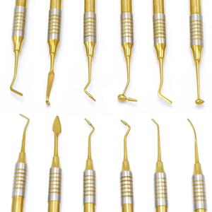 Instruments dentaires Bone Bridge Instruments BBI-464 en acier inoxydable couleur or, manuels, 6 pièces, classe I, pour le nettoyage et le remplissage composite - Product Image 2