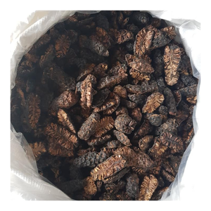 Rodajas de Noni Deshidratadas para Procesamiento de Bebidas, Empaque Minorista y Distribución Mayorista - Product Image 1