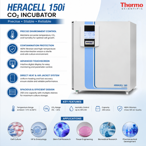 Incubadora de Laboratorio de CO2 de 250L para Cultivo Celular |   Chaqueta de Protección HEPA con Pantalla Táctil para Investigación IVF, Suministro OEM ODM Farmacéutico - Product Image 5