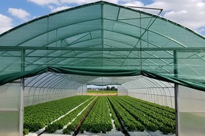 Green <b>Plastic</b> Shade Net UV Stabilized Garden Crop Protection <b>Mesh</b> Custom Cut Farm Cover - Product Image 3