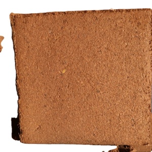 Pichet co21,5 noix de COCO, produit importé du japon - Product Image 1