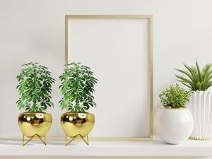 Maceta Metálica Elegante a Precio Económico para Plantas de Interior, Decoración de Jardín y Hogar, Maceta Metálica Premium - Product Image 5