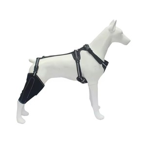 Órtese de Joelho para Cães em Algodão Respirável e Ecológico com Arnês para Suporte de Perna Traseira com ACL Rasgado, Uso em Esportes ao Ar Livre - Product Image 2
