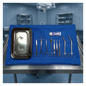 Ensemble d'instruments de chirurgie mineure professionnels les plus vendus, en acier inoxydable de qualité médicale, pour hôpital et clinique - Product Image 6