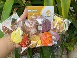 เปลือกหอยสีสันสดใส ทำความสะอาดแล้ว ของตกแต่งจากเปลือกหอยธรรมชาติ โรงงานเวียดนาม ขายส่งจำนวนมาก อุปกรณ์งานฝีมือ - Product Image 3