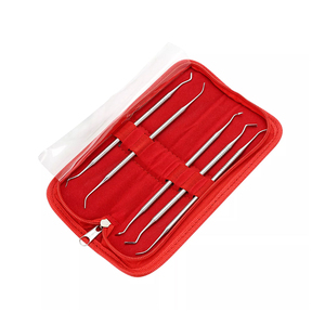 Juego de Instrumentos Dentales de Acero Inoxidable, Herramientas Quirúrgicas Manuales, Estuche Rojo, Color Plateado, Clase I - Product Image 1