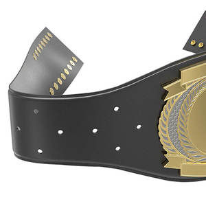 Ceinture de championnat de lutte personnalisée GLOWING NEON INDUSTRY en cuir PU avec boucle décorative en fer, taille haute, unisexe, arts martiaux - Product Image 5