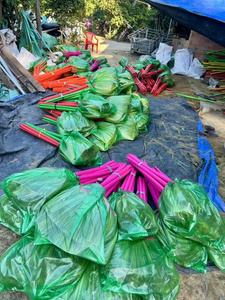 Balai d'herbe douce vietnamien avec longue poignée en plastique outil de nettoyage à domicile prix bon marché usine d'exportation du Vietnam - Product Image 6