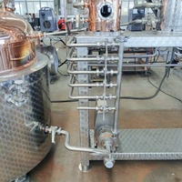 Distillateur d'alcool ZJ distillateur encore spiritueux prix distilleri