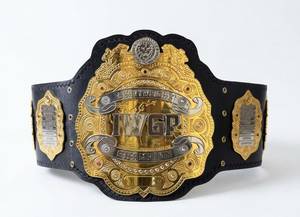 Cinturón de Campeonato IWGP de Peso Pesado, Doble Capa, Chapado en Oro, Resistente al Agua, 4 Placas Laterales Premium para Jiu-Jitsu y Karate - Product Image 2