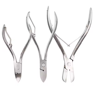 Pinza de Acero Inoxidable de Alta Calidad para Dientes de Cerdo, Instrumento Veterinario para Caballos, Reutilizable, Duradero, con Certificación CE, Implantes Dentales - Product Image 1