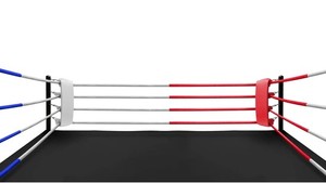 Housses de cordes de ring de boxe imprimées de haute qualité personnalisées |   Cordon de rembourrage en PVC/PU durable pour la boxe et le MMA - Product Image 5