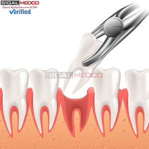Juego de 12 Pinzas de Extracción Dentales Ergonómicas de Primera Calidad, Herramientas de Extracción Dental Superior e Inferior de Alta Gama con Estuche, Instrumentos Médicos - Product Image 3