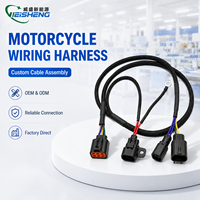 Harness Kabel Kustom Otomotif dengan Multi-Konektor untuk Sistem Sepeda Motor