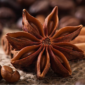 Anís estrellado de alta calidad y precio directo de fábrica, especias naturales secas frescas de Vietnam, exportación a granel con servicio OEM disponible. - Product Image 1