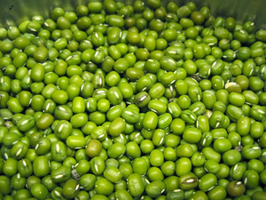 Organic Mung Bean Powder Premium Grade Superfood Ingredient Available in Bulk Packaging - Product Image 5