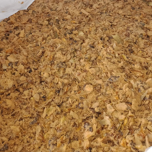 Pienso de Cáscara de Piña Fermentada Natural de Alta Calidad de Fábrica Vietnamita, el Más Vendido, para Alimentación de Ganado, Suministro a Granel - Product Image 5