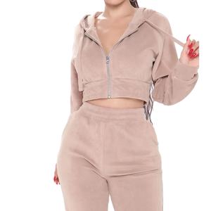 Women's 2Pcs Velvet Hooded Sweatshirt Pant <b>Jogger</b> Set Solid Pattern Zipped Tracksuit with Lace Decoration <b>Velour</b> for Lounge Wear - Product Image 1