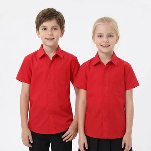 Camisas Escolares de Alta Calidad para Estudiantes – Precio Directo de Fábrica, Aceptamos Logotipo Personalizado y Tallas Mixtas, Venta al Por Mayor - Product Image 2