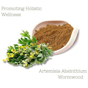 Thé aux feuilles d'armoise biologique Livewell Nutrition 100g Sans OGM Artemisia Achat en gros - Product Image 3