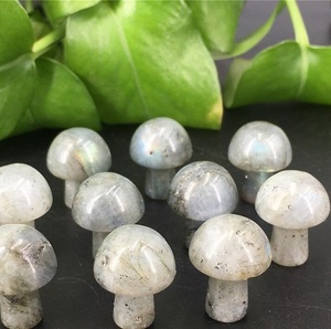 Pierre de Labradorite Naturelle Sculptée en Champignon, Cristal de Guérison pour la Méditation Reiki, Décoration Feng Shui, Vente en Gros, Chakralume Rajasthan - Product Image 4