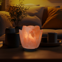 Lámparas de Sal del Himalaya Talladas Ecológicas, Estilos de Flores, Animales y Ángeles, Embalaje Personalizable, Venta al Por Mayor, Exportación a Pakistán