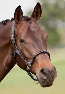 Y & Z-Cuerda de cuero genuino para caballo, alta calidad, calidad superior, disponible, venta al por mayor, proveedores de cuerda ecuestre - Product Image 3