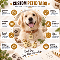 Vente en gros de médailles personnalisables en métal doré pour animaux de compagnie, gravées, style européen et américain, pour cadeaux d'anniversaire et de fêtes, pour l'exportation