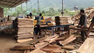 แผ่นไม้วีเนียร์แกนยางพารา/ยูคาลิปตัส/อะคาเซียธรรมชาติ ราคาถูกมาก ปี 2026 - Product Image 6