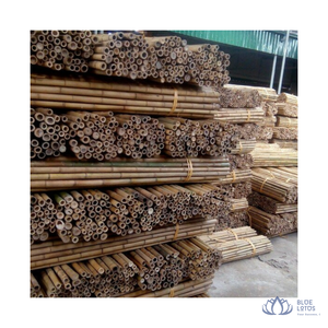 [MEILLEURE VENTE] Matériel en gros de cannes en bambou Tonkin de qualité supérieure pour la construction, la clôture et le support de conception - Blue Lotus Farm Vietnam - Product Image 1