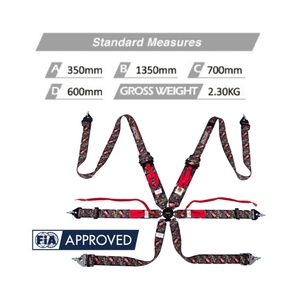 Cinturón de Seguridad Deportivo TBRACING SPORT PLUS-5, Homologado por la FIA 8853-2016, 6 Puntos, Poliéster y Acero, Ajustable, con Logotipo Personalizado, 16 Colores para Autos de Carreras - Product Image 6