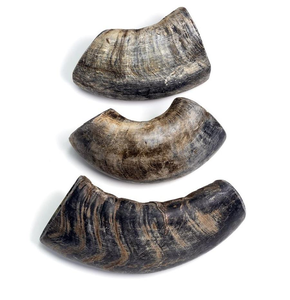 Juguete Masticable para Perros de Cuerno de Búfalo Natural de Alta Calidad, Ecológico, Diseño Innovador, Cubo de la India, Juguetes Promocionales - Product Image 4