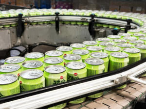 Jus de raisin aromatisé VEDAN EARTH POWER stérilisé en bouteille de 310 ml - Product Image 6