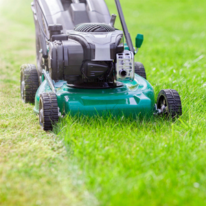 Tracteur de jardin Kubota GR2120 Diesel 21HP 4x4 avec bac de ramassage, usage professionnel intensif, Autriche - Product Image 3