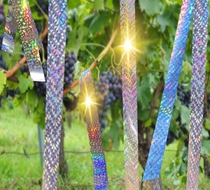 Cinta Reflectante Iridiscente para Ahuyentar Aves, Rollo de Cinta Holográfica para Protección de Jardines, Venta al por Mayor, Cinta Reflectante para Repeler Aves - Product Image 6